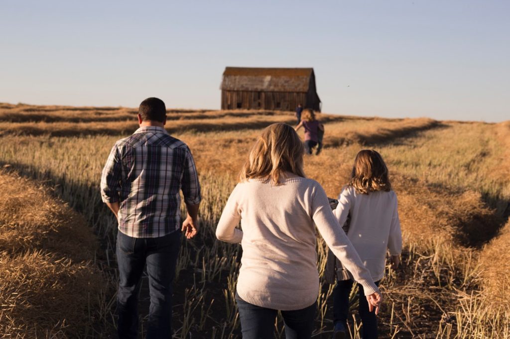 A young girl is walking towards her home through a corn field with her mother and father.